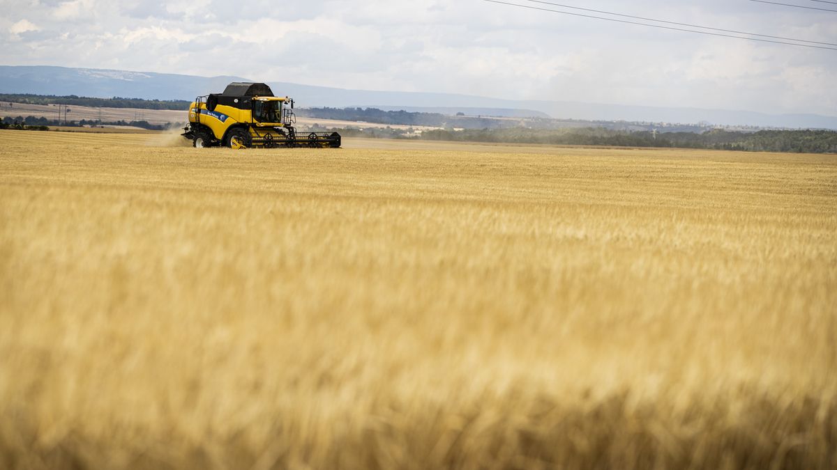 Evropská komise neprodlouží embargo na dovoz ukrajinského obilí